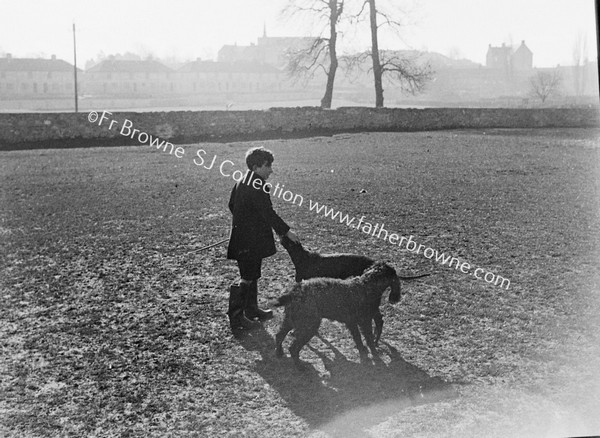 ST MARY'S BOY FEEDING SHEEP